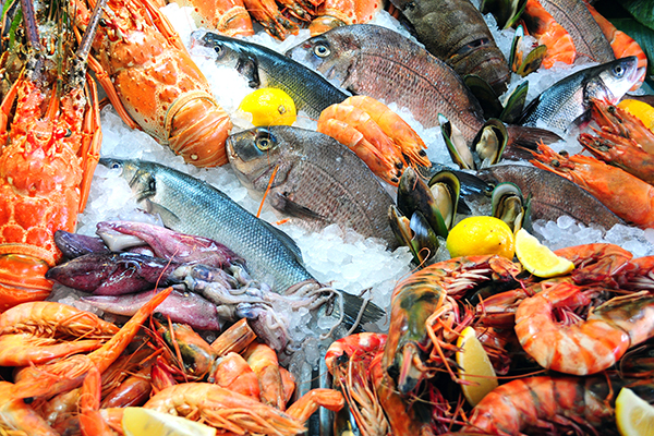 Seafood Processing and Storage