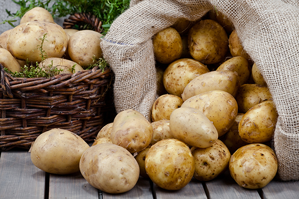 Potato Ventilation and Storage